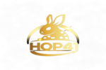 HOP41 เว็บพนันออนไลน์ครบวงจร ที่สุดของความมั่นคง เล่นง่าย จ่ายจริง